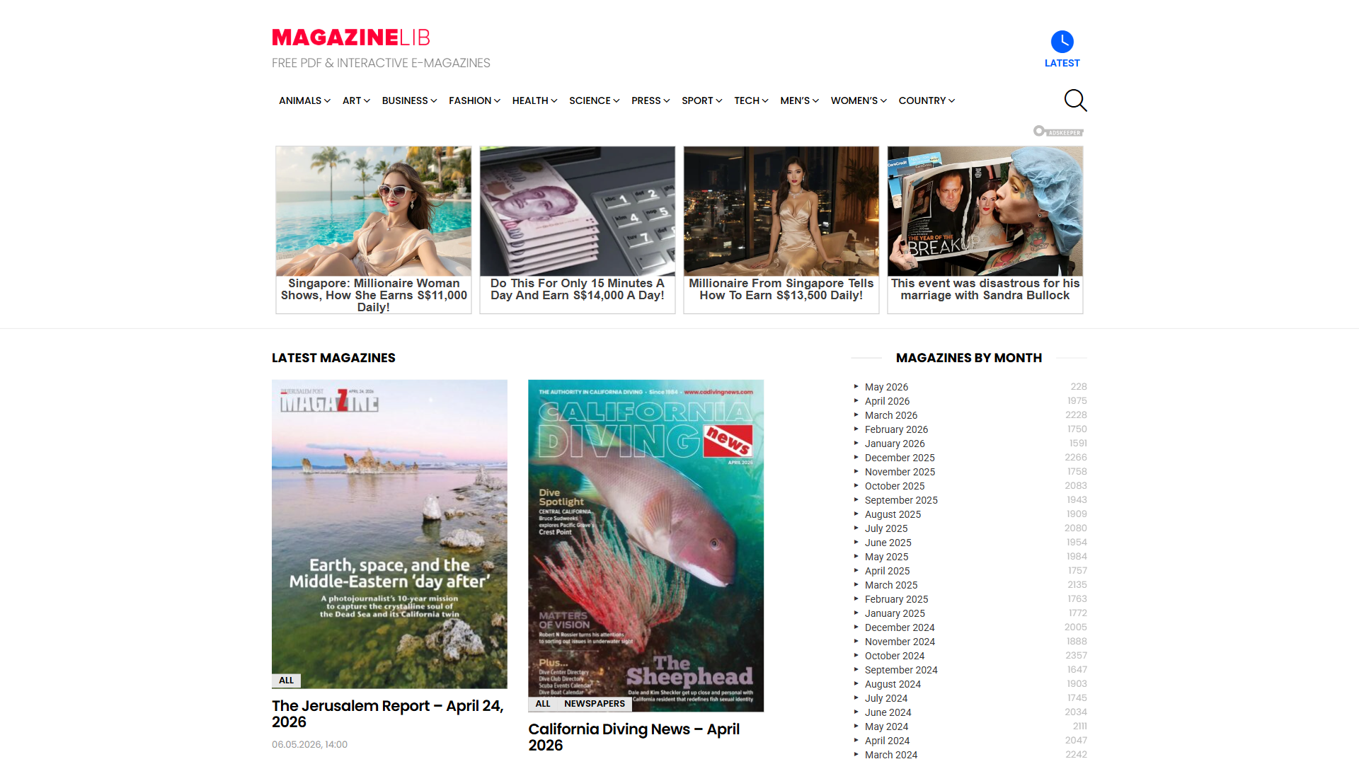 Magazinelib 网站截图